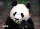 Beijing Zoo