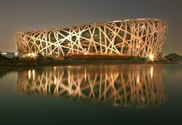 Bird's Nest