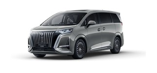 Deluxe Van / 7 Seat